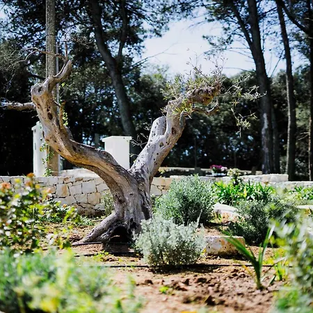 Вилла Trulli Pinacea Мартина-Франка