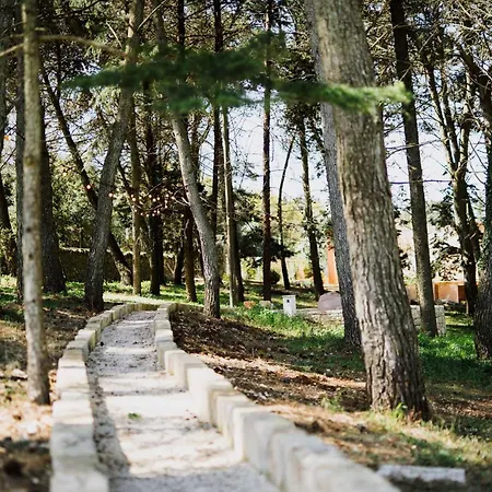 Trulli Pinacea * Мартина-Франка