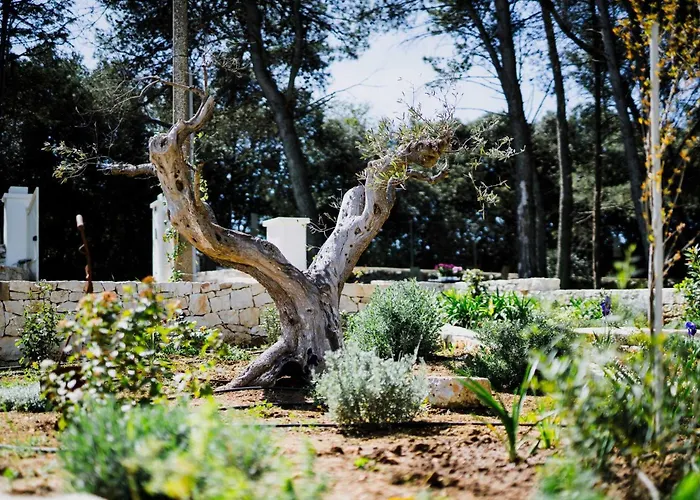 Vila Trulli Pinacea Martina Franca